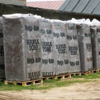 Vivero de plantas de bayas